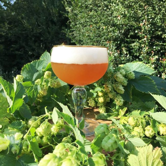 Brasserie de l&rsquo;Olifant