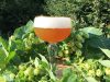 Brasserie de l&rsquo;Olifant