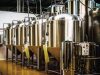 Bière brassée artisanalement au pays des abers