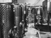 Brasserie de Montluc - cuves