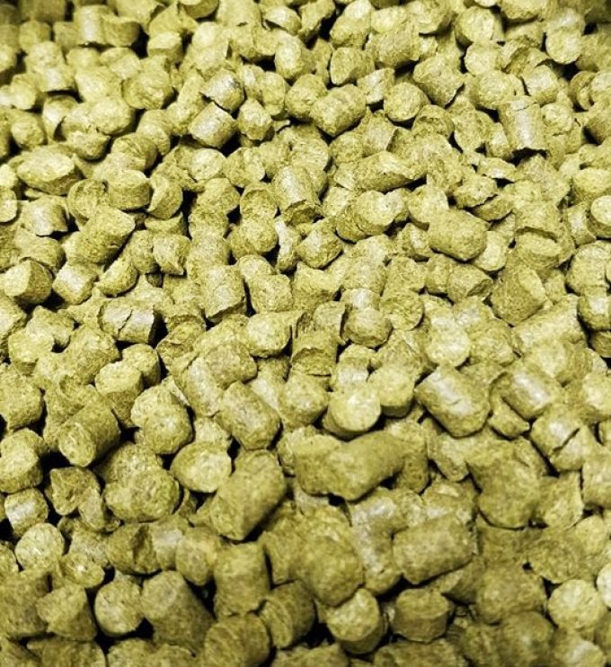 Brasserie Nautile - houblon