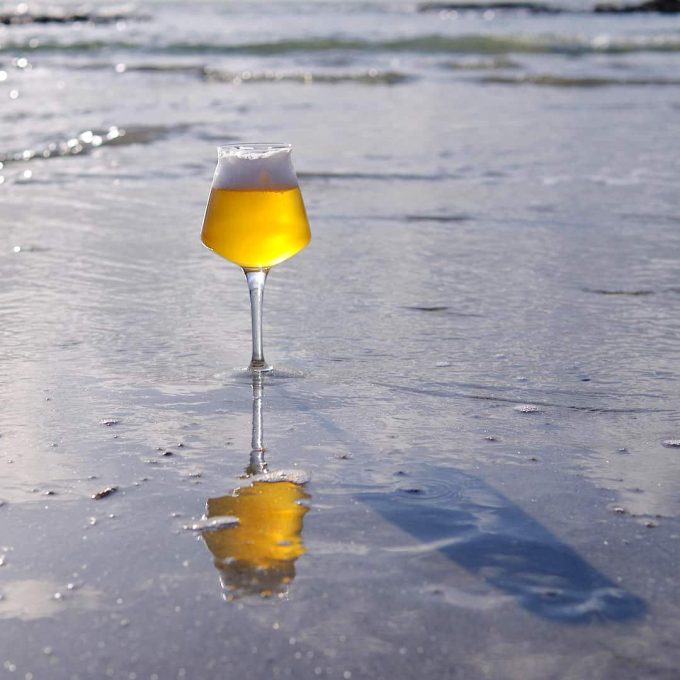 Brasserie de la Pieuvre - la pieuvre sur le sable