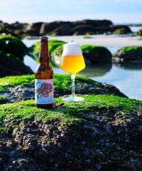 Brasserie de la Pieuvre