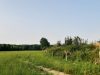 Ferme Breizh Uhel - Champs