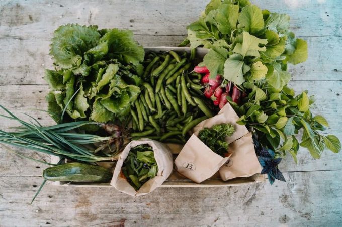 Brume - choix et variétés de légumes
