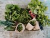 Brume - choix et variétés de légumes