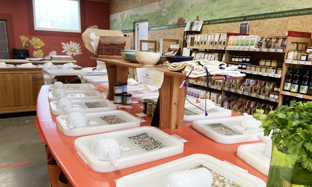 Le Buzuk Ver, une chouette boutique paysanne à Briec (29)