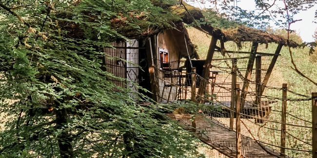 Voyager autrement en Bretagne : entre cabanes dans les arbres, producteurs locaux et slow tourisme