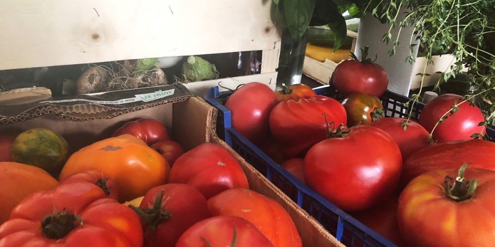 Cagettes de légumes de saison : On a comparé les prix pour vous !