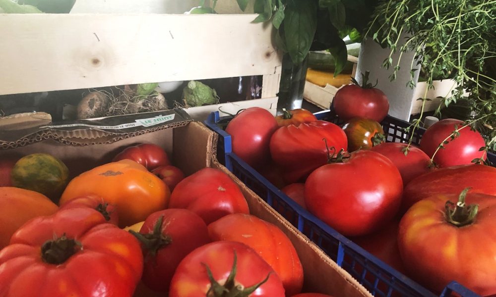 Cagettes de légumes de saison : On a comparé les prix pour vous !