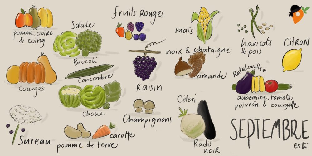 Légumes et fruits de saison – Septembre [CALENDRIER + LISTE]