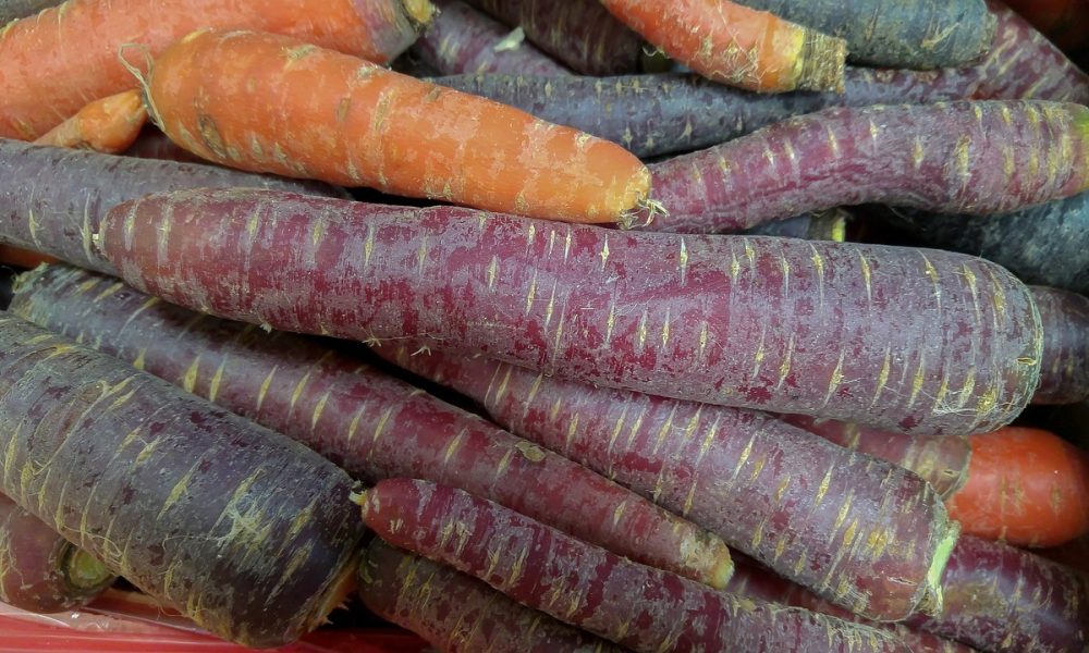 La carotte : Origines, variétés, couleurs et bienfaits pour la santé