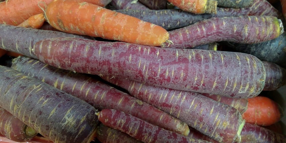 La carotte : Origines, variétés, couleurs et bienfaits pour la santé