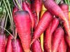 Superbes Carottes !
