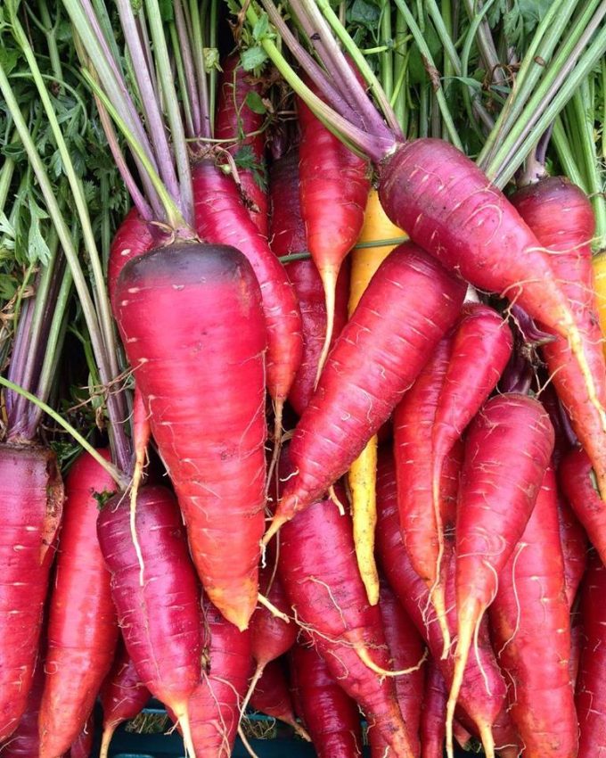 Superbes Carottes !