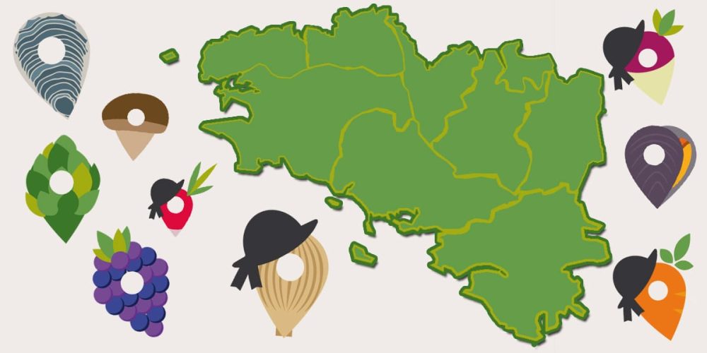 Les Neuf Pays de Bretagne : Une histoire commune, des terroirs distincts