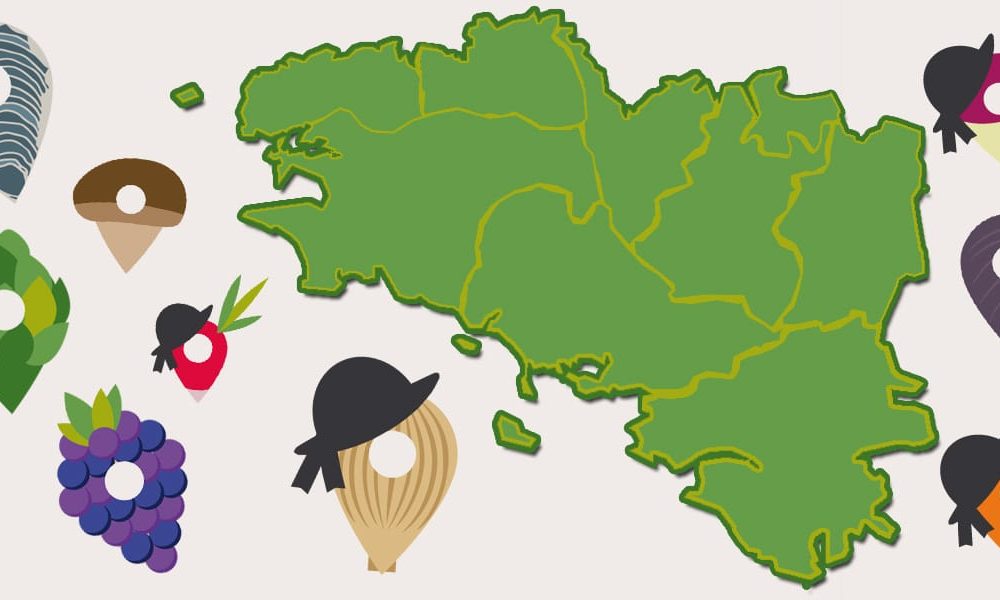Les Neuf Pays de Bretagne : Une histoire commune, des terroirs distincts
