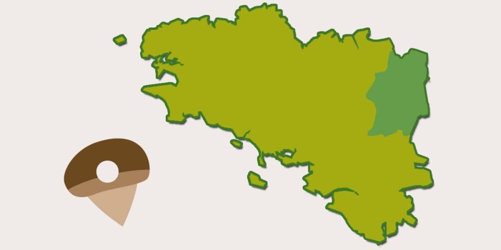 Le Pays Rennais : le plus à  l&rsquo;Est de la Bretagne !