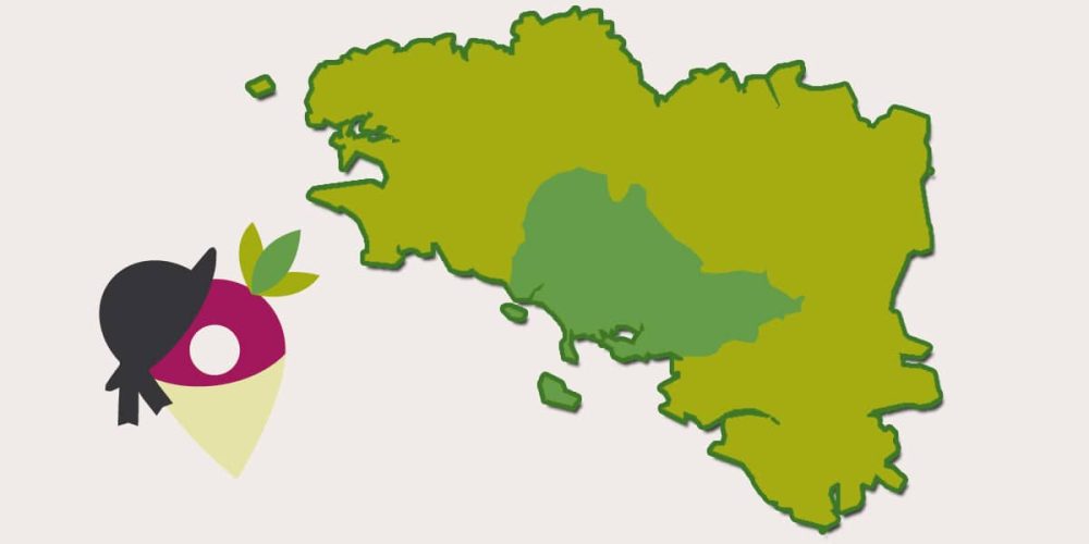 Le Pays du Vannetais, une histoire glorieuse !