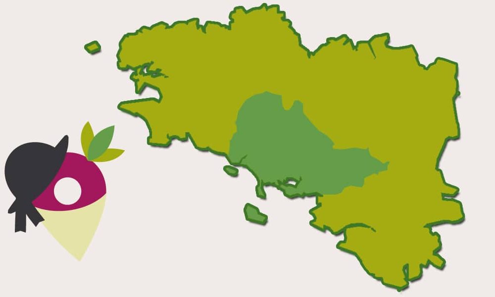 Le Pays du Vannetais, une histoire glorieuse !