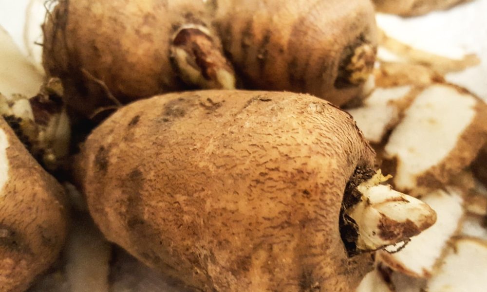 Le cerfeuil tubéreux : une saveur entre châtaigne et pomme de terre…