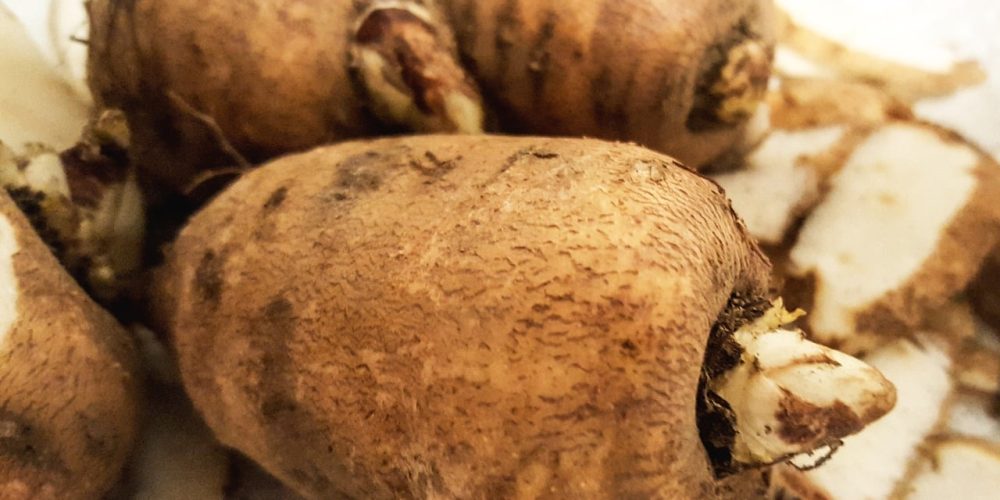 Le cerfeuil tubéreux : une saveur entre châtaigne et pomme de terre…