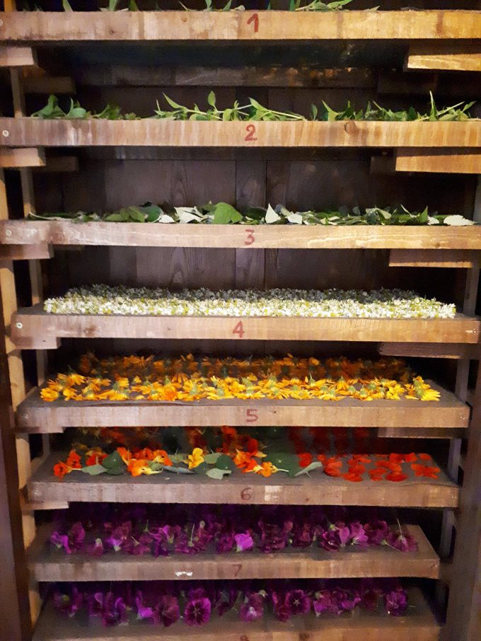 Le Champ du Bourdon - séchage