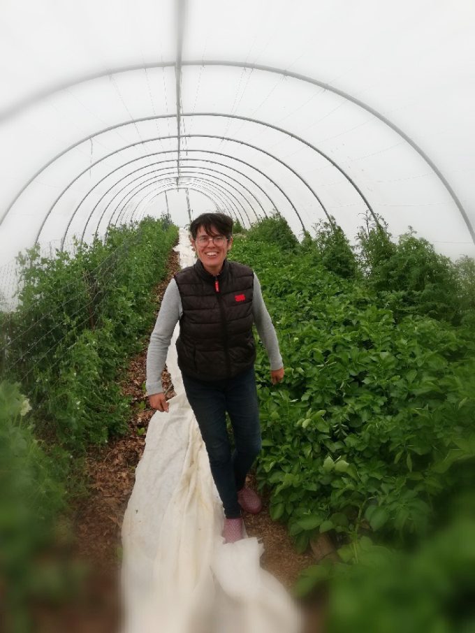 Le Champ de la Grelinette - plantation sous serre