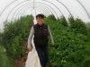 Le Champ de la Grelinette - plantation sous serre