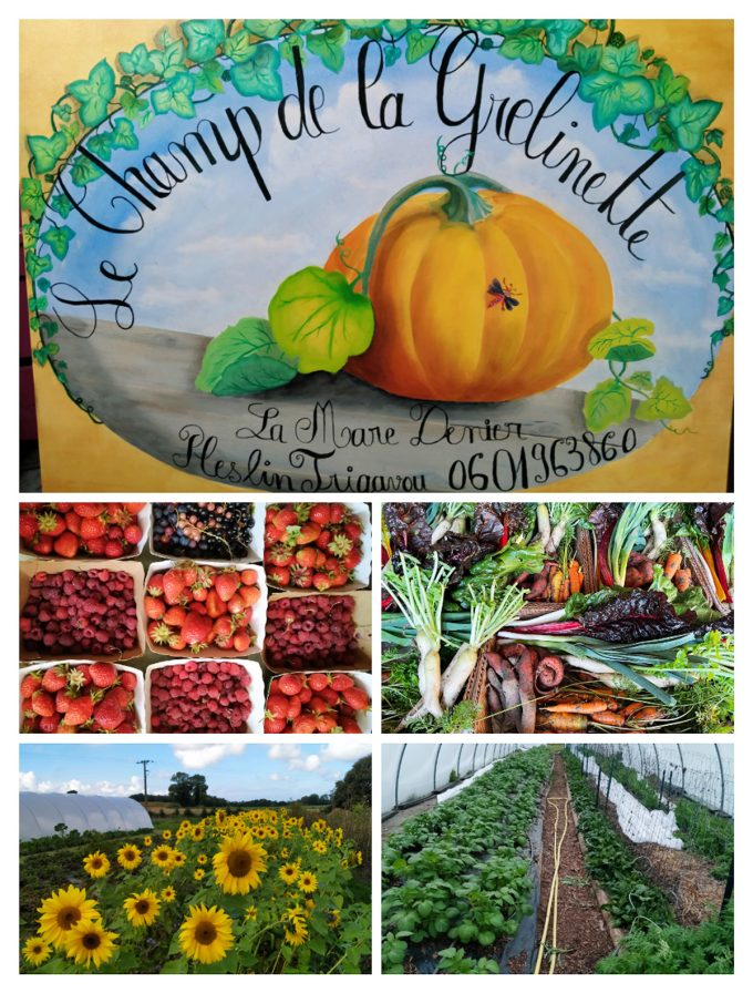 Le Champ de la Grelinette - logo affiche