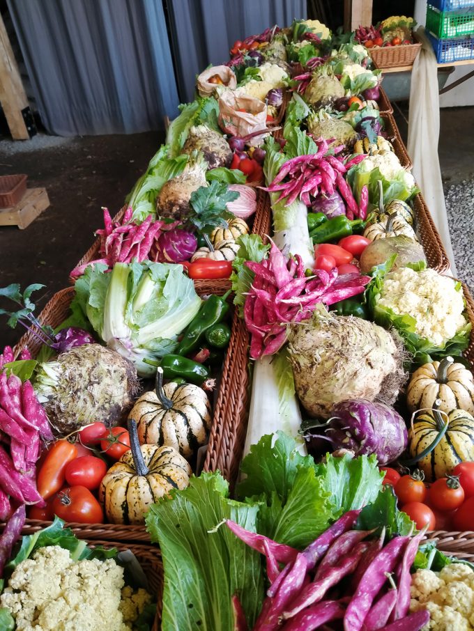 Le Champ de la Grelinette - étal de légumes