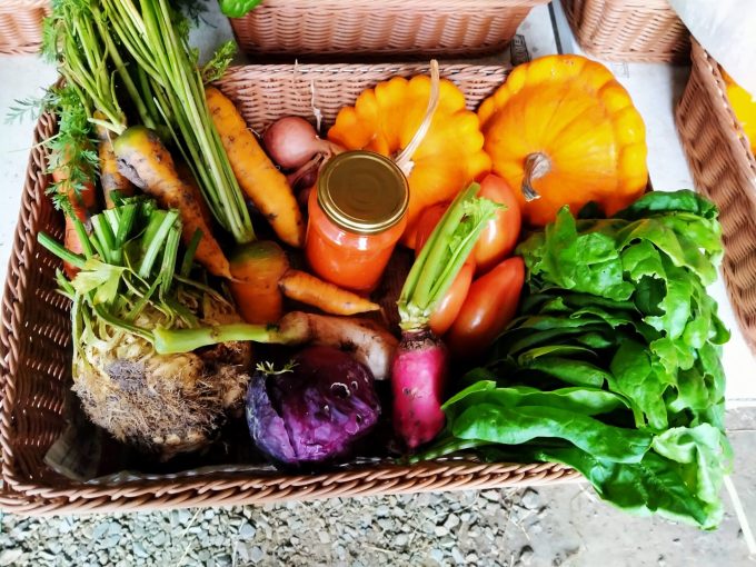 Le Champ de la Grelinette - panier de légumes bio