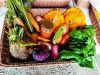 Le Champ de la Grelinette - panier de légumes bio