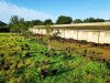 La Ferme du Champ Oisel - élevage