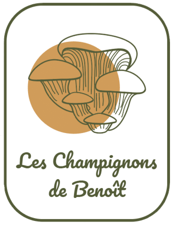 Les Champignons de Kerean - logo