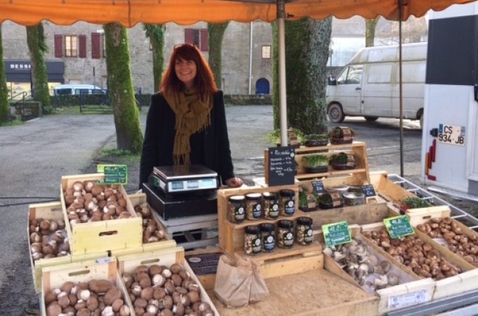 Différentes variétés de champignons proposés sur le marché de vannes