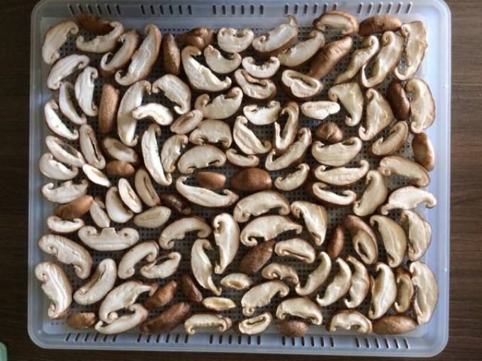 Champignons coupés