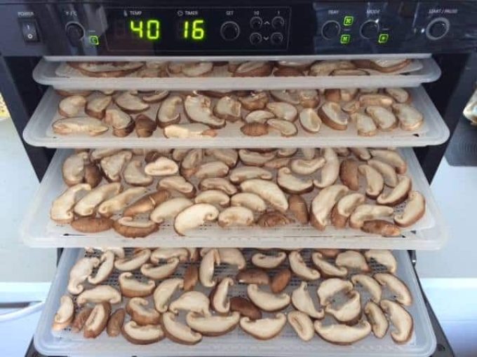 Champignons déshydratés