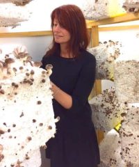 Les champignons du Loch
