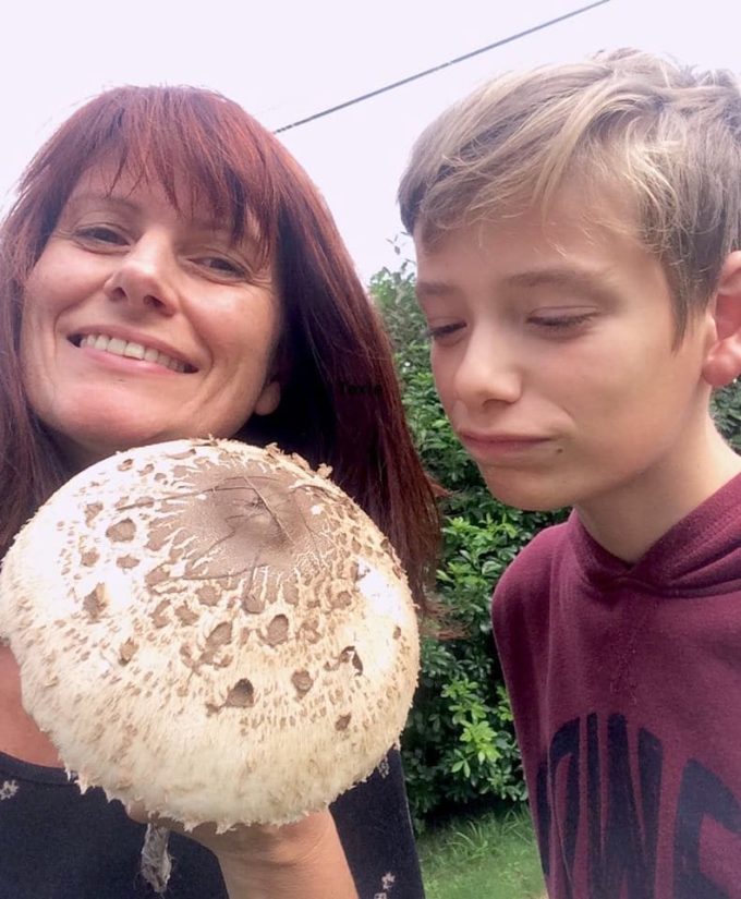 La passion des champignons