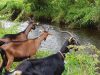 Au plus près de la nature