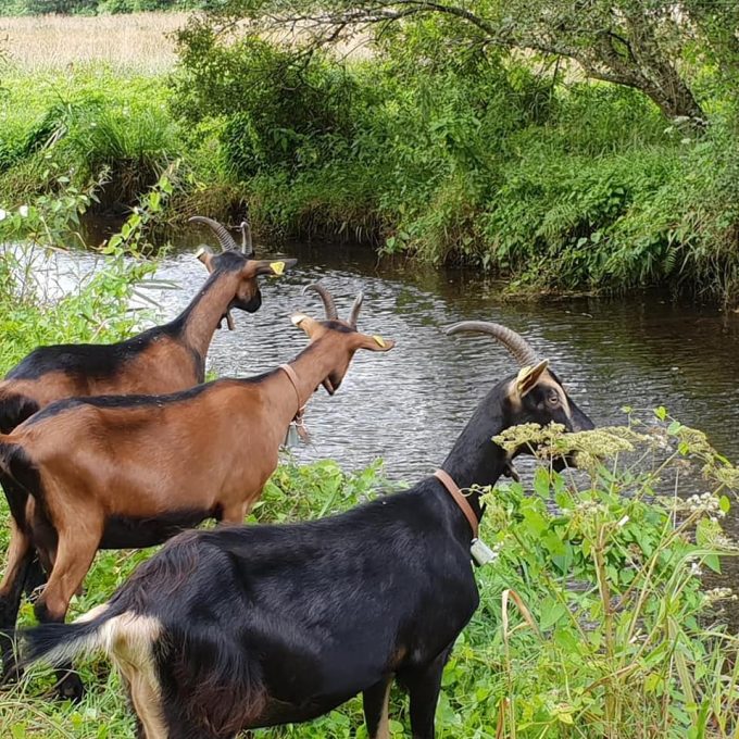 Au plus près de la nature