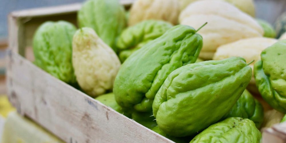 La christophine : bienfaits et idées recettes