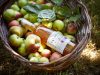 Les produits