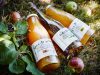 Jus de pommes