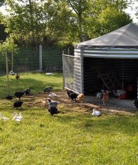 Ferme de Coat Mélen