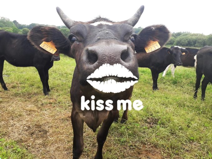 La Ferme BIO de Coat Squiriou