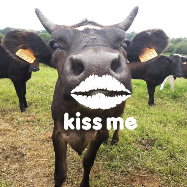 La Ferme BIO de Coat Squiriou