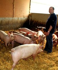 Ferme de Tachen C&rsquo;Hoadic