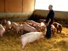 Ferme de Tachen C&rsquo;Hoadic